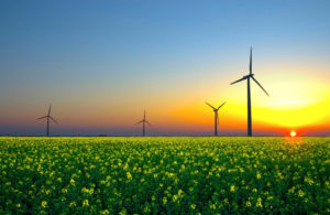 Read more about the article Filter aids