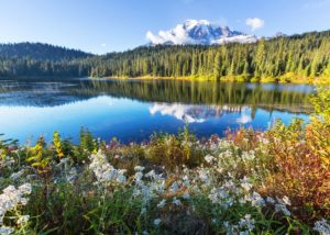 Read more about the article Polyethylene: A Rising Star