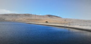 Read more about the article What will Trump do with Kentucky’s Water Issue ?