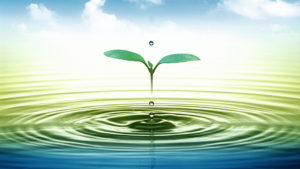 Read more about the article HOW TO IMPROVE THE FILTRATION EFFICIENCY OF THE FILTER