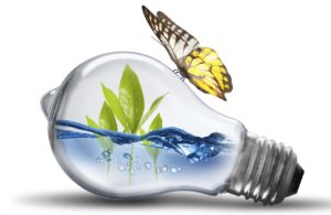 Read more about the article A QUICK ENTRANCE TO WATER FILTERS