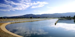 Read more about the article FILTER AND FILTER REPLACEMENT CYCLE