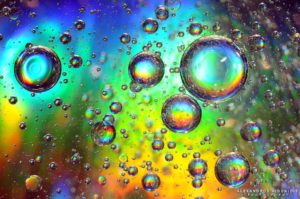 Read more about the article Microbial rating