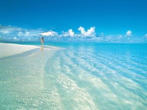 Read more about the article Precoat Filter