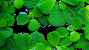 Read more about the article Filter permeability